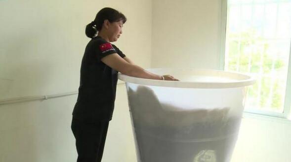 鮮花椒烘干機